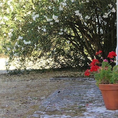 Quinta Do Valle Tomar Εξωτερικό φωτογραφία