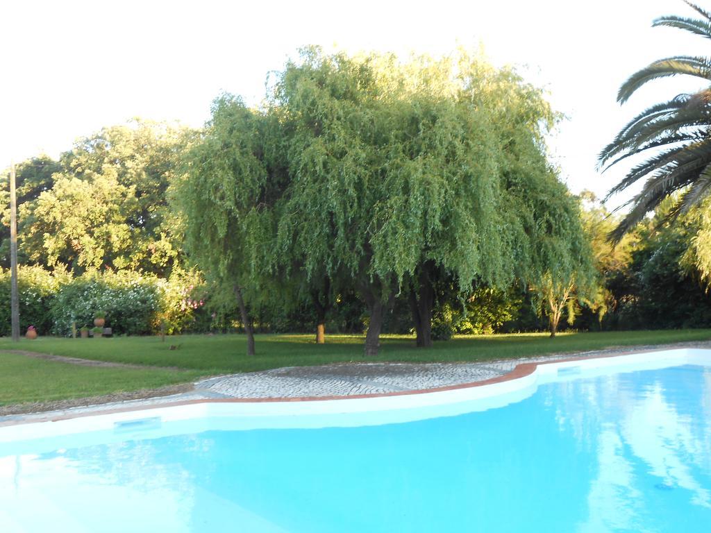 Quinta Do Valle Tomar Εξωτερικό φωτογραφία