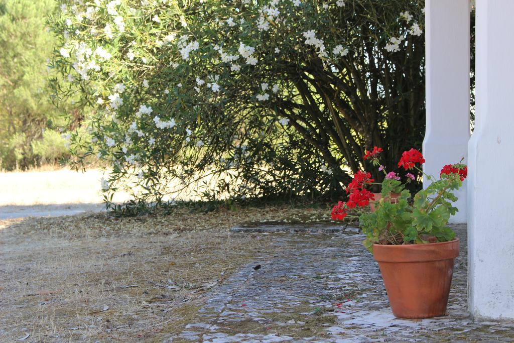 Quinta Do Valle Tomar Εξωτερικό φωτογραφία