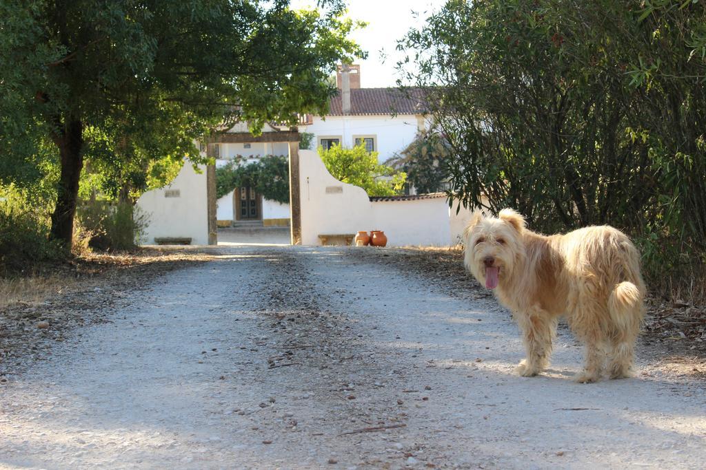 Quinta Do Valle Tomar Εξωτερικό φωτογραφία