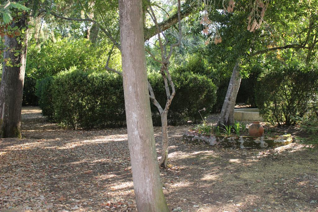 Quinta Do Valle Tomar Εξωτερικό φωτογραφία
